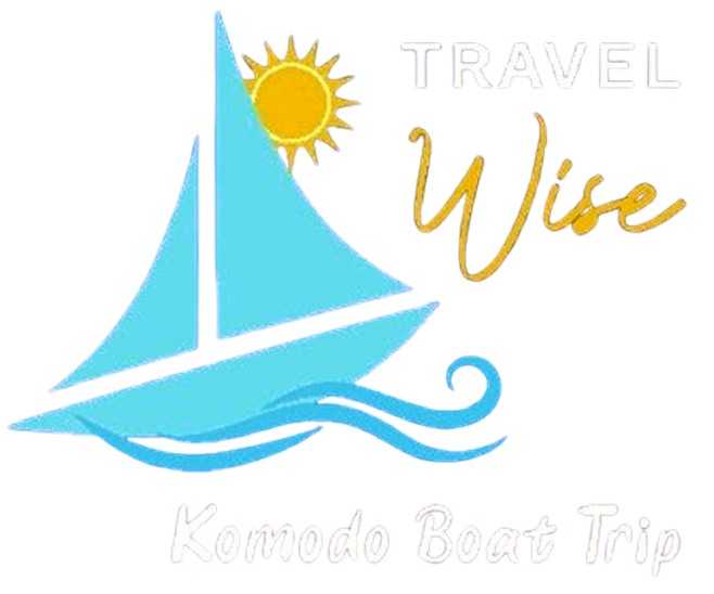 Travel Wise