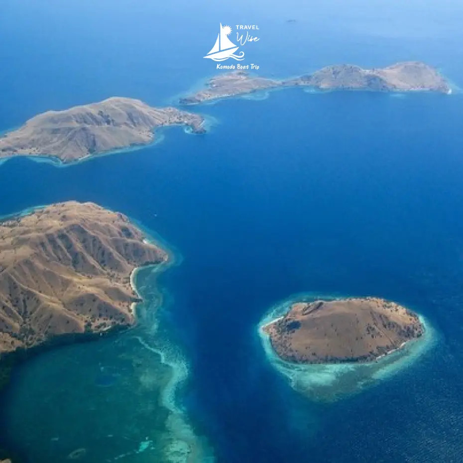 Travelers watching a Komodo dragon from a safe distance