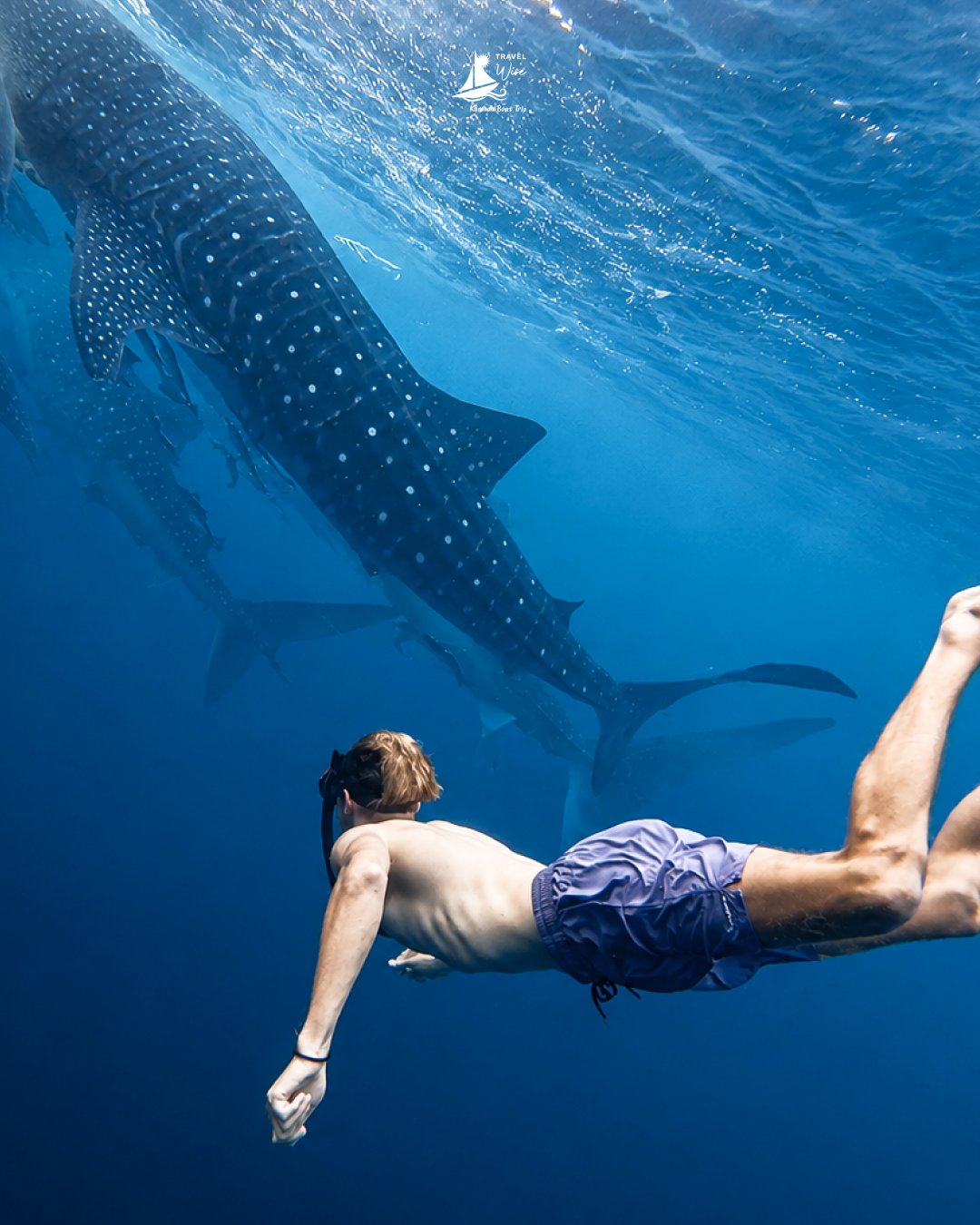 Cheap Komodo Trip from Lombok 4D3N: Flash Sale from IDR 3M!